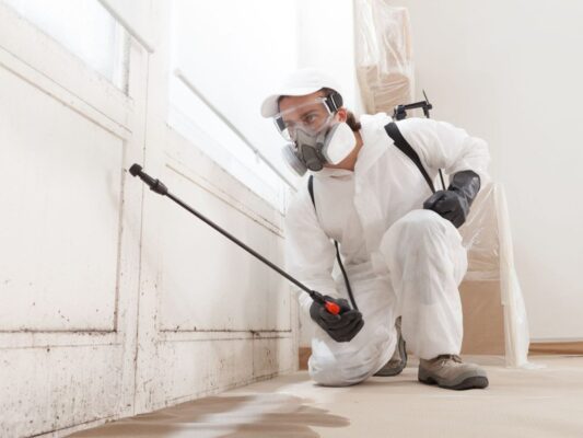 Mold Remediation